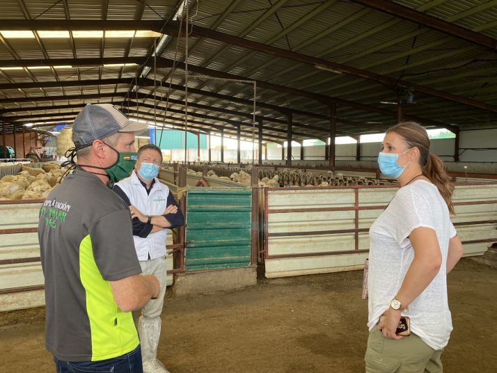Ovino: Desestacionalizar la producción, clave para aumentar la competitividad de las explotaciones del sector