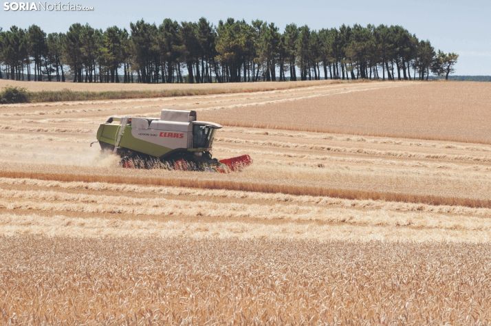 La agricultura soriana, en peligro de desaparición por la ausencia de cantera