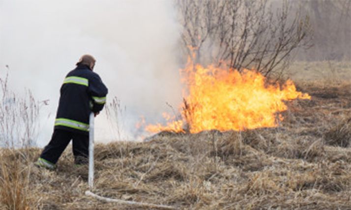 Una chispa del tendido eléctrico quema 0,7 hectáreas en Perdices