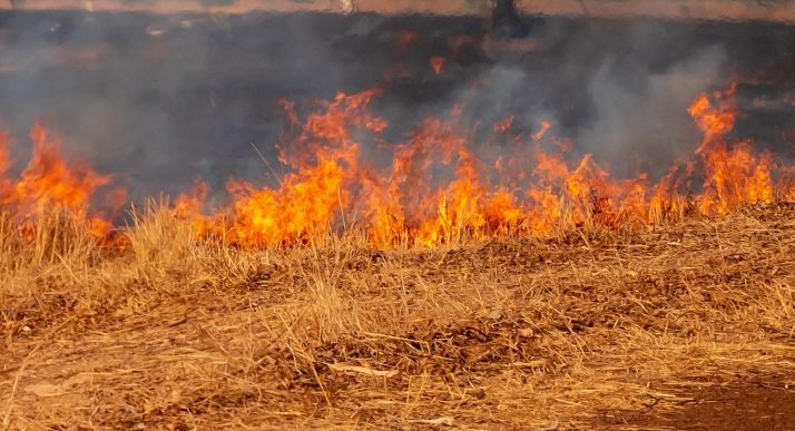 Incendio nocturno en Cuéllar de la Sierra
