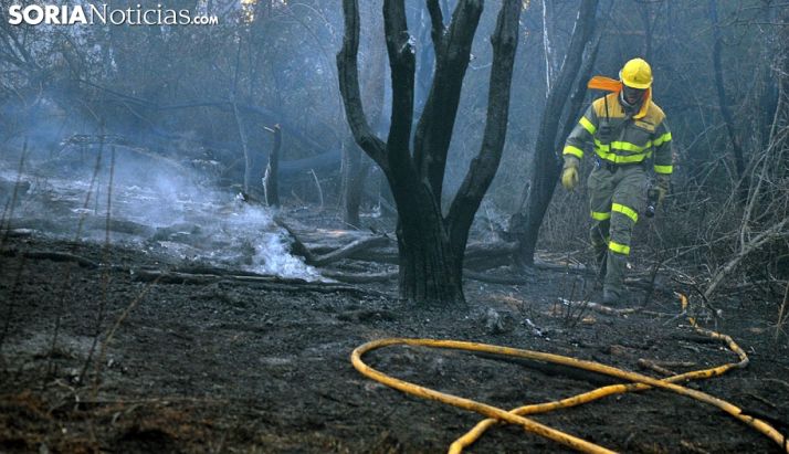 La campaña de incendios muestra una disminución del 50% respecto a un año medio