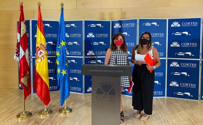 El PSOE pedirá en el pleno a la Junta que cierre los prostíbulos para evitar contagios del Covid-19