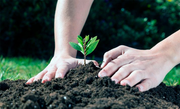 La Junta aprueba 1 M€ para programas de educación ambiental