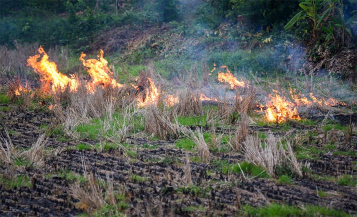 Una quema controlada de rastrojos.