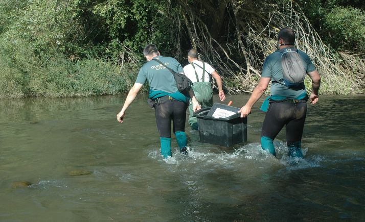 Agentes del SEPRONA durante la operación María-island. /GC