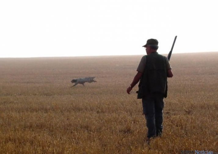 Caza: Castilla y León abre su media veda este fin de semana