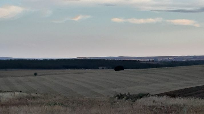 Arden 4 hectáreas en Alconaba