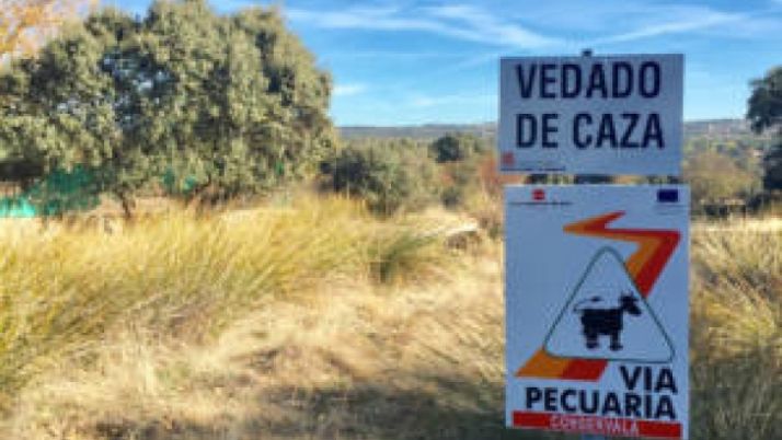 Castilla y León trabaja en una red general de vías pecuarias