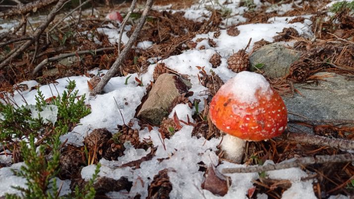Duruelo de la Sierra marca la temperatura mínima de Soria, la quinta más baja de España