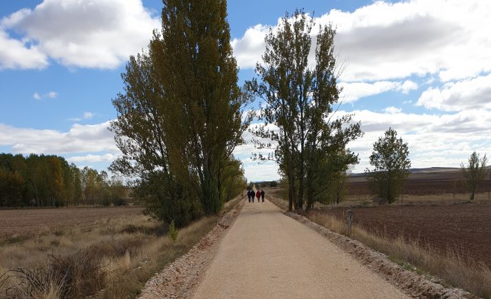 El Gobierno estudia el recorrido de la Vía Verde a su paso por Soria capital