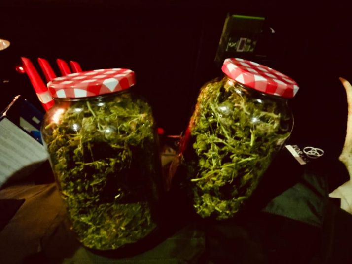 La Guardia Civil interviene 500 gramos de marihuana en Ólvega