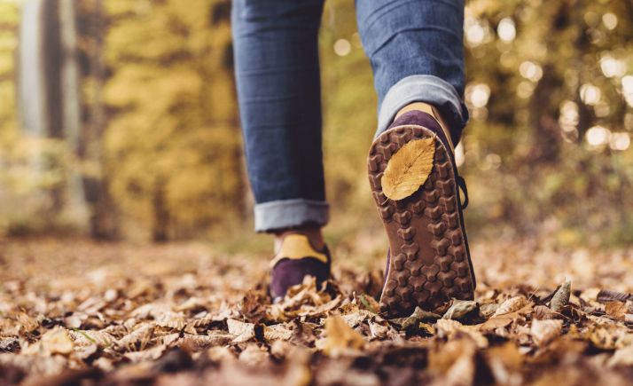 INTUR será el 19 de noviembre con una jornada para profesionales que combinará el formato presencial y virtual