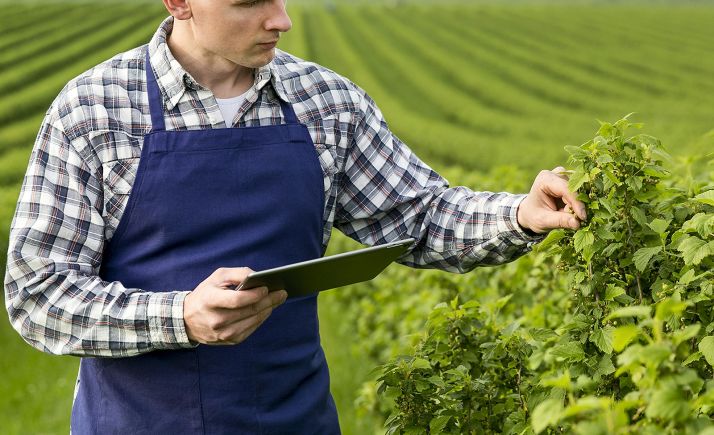 La formación online potencia el uso de tecnologías innovadoras en la industria agroalimentaria de CyL
