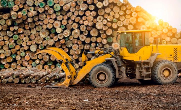 El Ayuntamiento licita más de 1M€ de aprovechamientos maderables y pastos