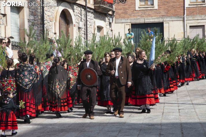 La Pinochada de Vinuesa.