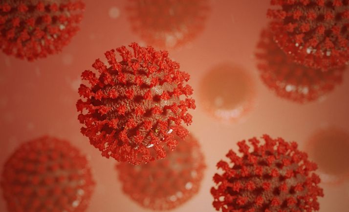 Causas genéticas e inmunitarias agravan la enfermedad por SARS-CoV-2