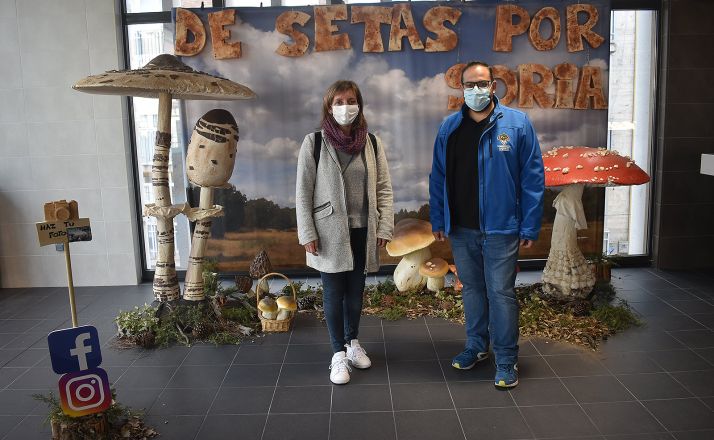 La capital invita a conocer el mundo de las setas