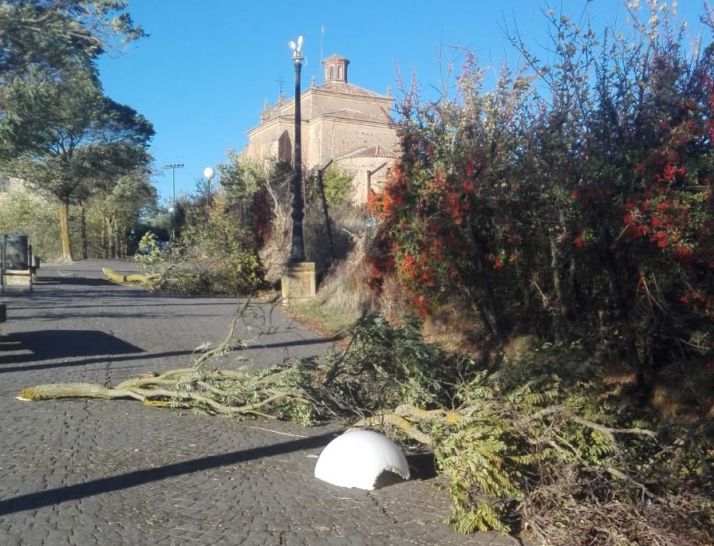 El viento, agitado por la borrasca Bárbara, obliga a los Bomberos de Soria a movilizarse durante la madrugada