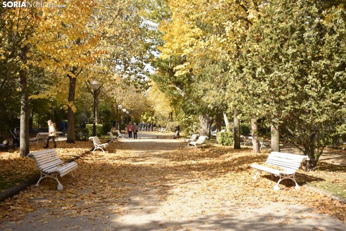 FOTOS: El otoño mejora el paseo por el pulmón de Soria