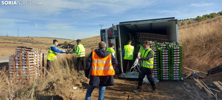 Mangos y aguacates tirados en la carretera después de un accidente de tráfico en Soria