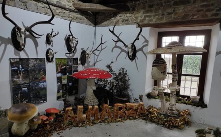 La micología y la caza siguen de oferta en Almarza