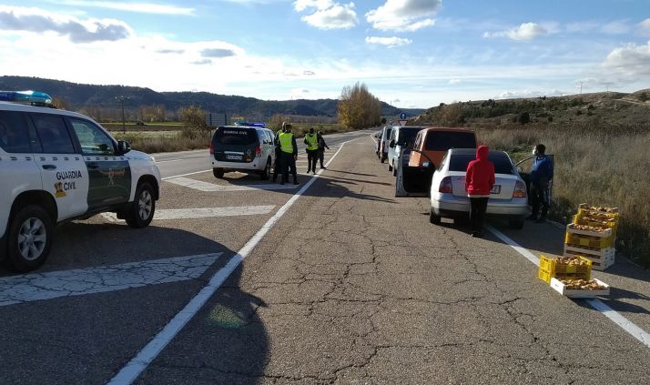 Níscalos, suma y sigue: La Guardia Civil requisa esta tarde 1.320 kilos a 30 personas
