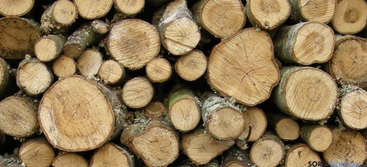 Nuevas acciones para garantizar el comercio de madera y sus productos en Castilla y León
