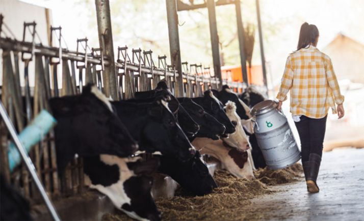 50 M€ para 30 medidas que favorecerán a más de 10.000 mujeres del medio rural de la Comunidad