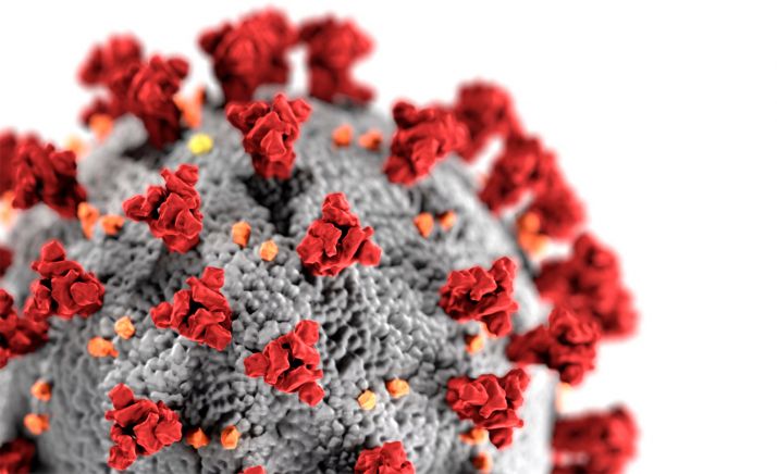 Una nueva mutación del SARS-CoV-2 surgió de España en verano y se extendió por Europa, según un estudio