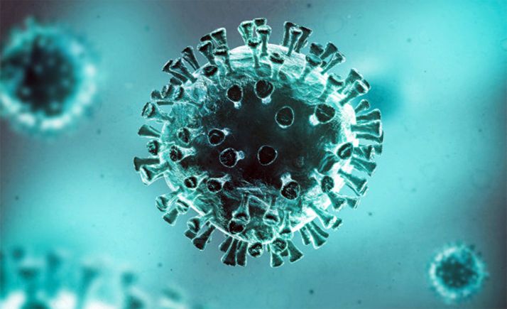 Todo lo que la ciencia española sabe sobre el coronavirus