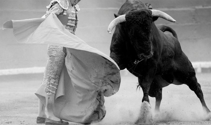 Abre el plazo para la presentación de candidaturas al Premio Tauromaquia de Castilla y León 2020