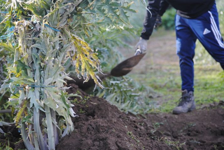 Premio Infantil III Rally Villa Ágreda.