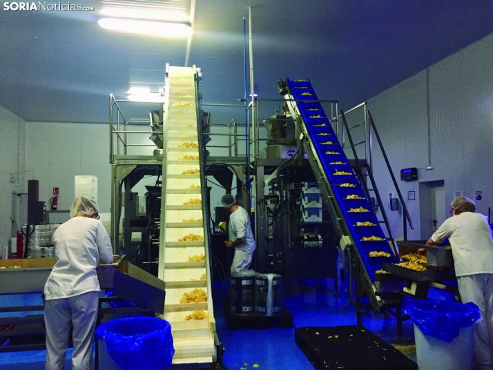 Arte Fritas: pioneros y referentes en el mercado nacional