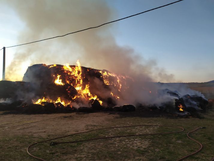 Arde un pila alpacas en Borobia