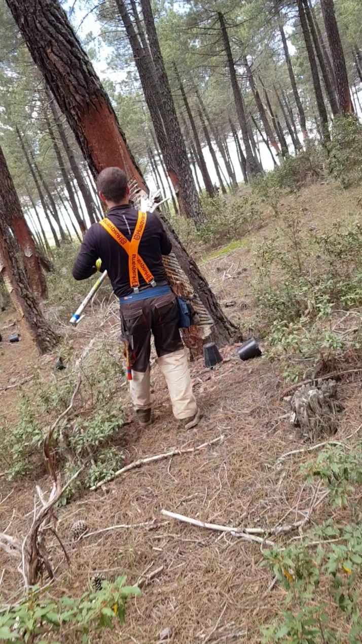 Diputación recibe 30 solicitudes para el fomento del sector de la resina en la provincia 