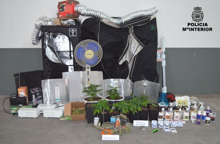 Un aviso por violencia de género en Soria acaba con un detenido al que se le acusa, además, por cultivo de Marihuana