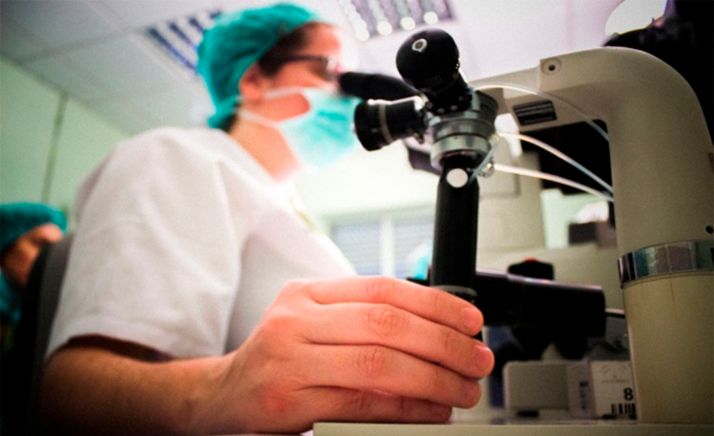 La Junta destina casi 8,6 M€ a las ayudas para la contratación predoctoral de personal investigador