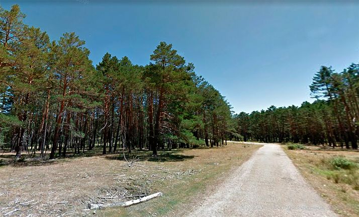 Licitadas mejoras en la pista de Pinar Grande por 115.105 euros