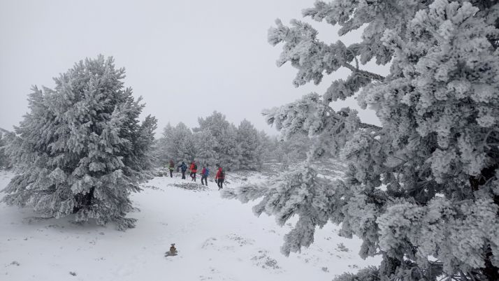 Fotos: Nieve, heladas y hasta -7 grados en el nacimiento del Duero