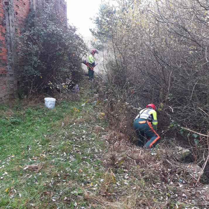 Las brigadas forestales de Diputación limpian los montes de más de 300 localidades 
