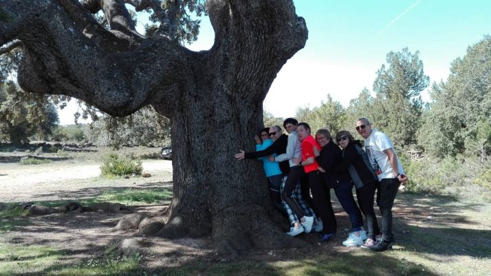Detalle del grosor del tronco de la encina de Valderromán.
