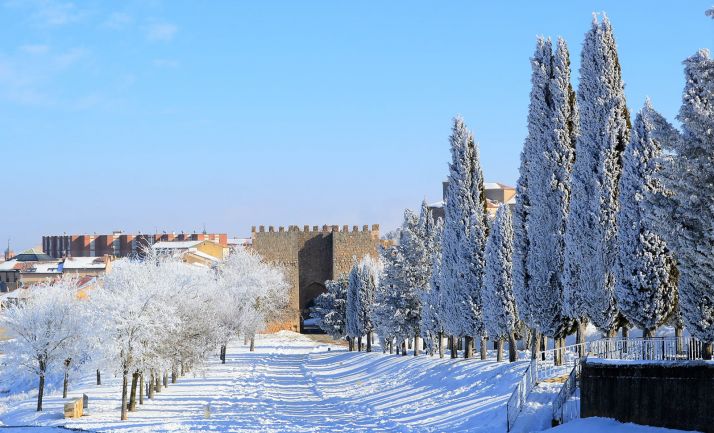 Cuatro empresas optan a la restauración de la Puerta del Mercado de Almazán