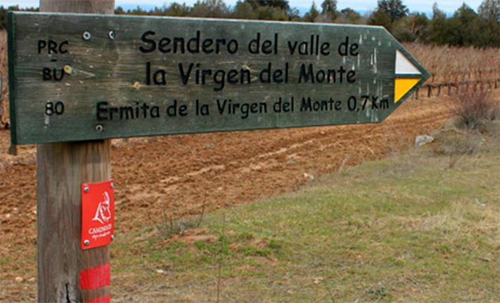 El Mitma y el Consorcio Camino del Cid colaborarán en materia de información geográfica y su divulgación