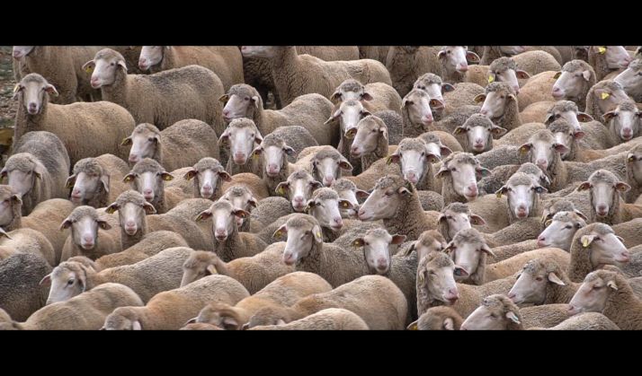Una imagen del documental La loba parda, de la soriana Cristina Ortega.
