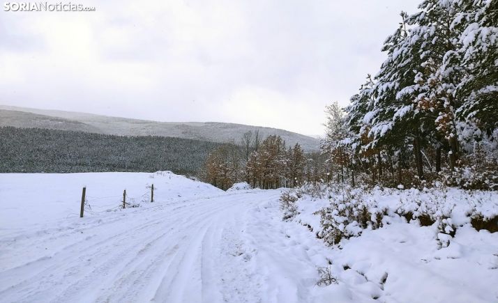 Barriomartín registra cuarta temperatura más baja del país