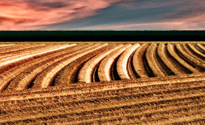 El acceso a la tierra y su incidencia en el relevo generacional condicionan el futuro agrario
