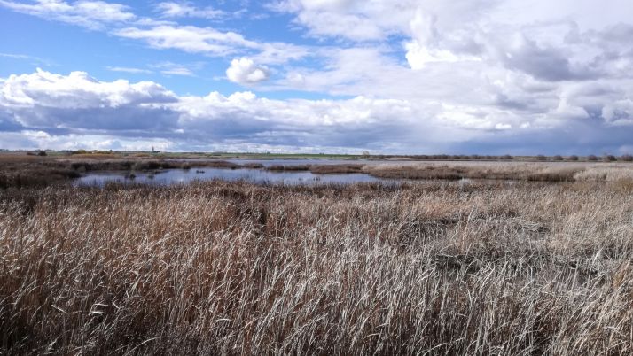 La recuperación de humedales, elemento clave de Castilla y León de cara a los fondos de nueva generación de la UE