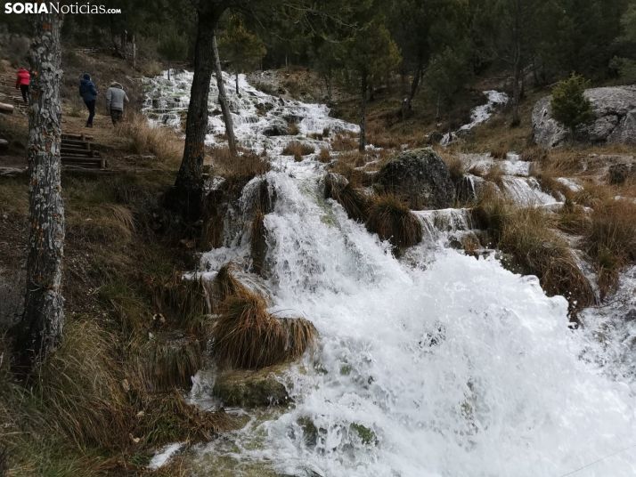 Cabrejas del Pinar: en el corazón de su excepcional enebral