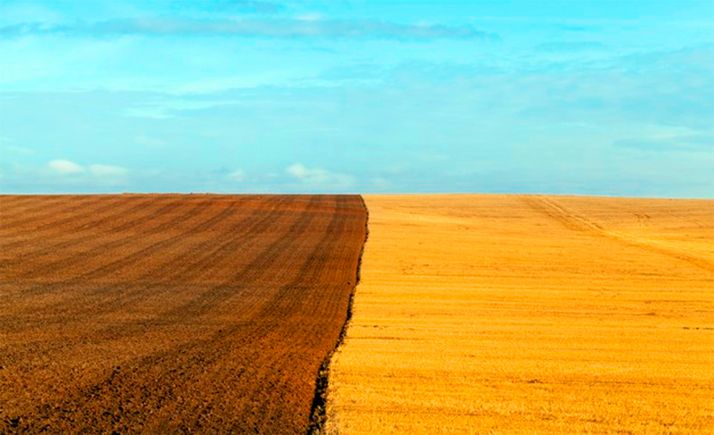 Unicaja vuelve a participar en la campaña PAC con anticipos y más de 325 M€ en préstamos