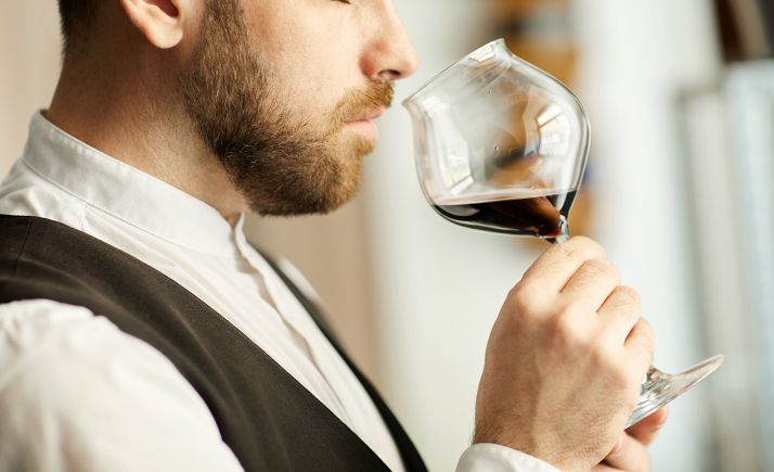 Más de 475.000 € para un taller-bodega destinado a estudios de Vitivinicultura en San Esteban